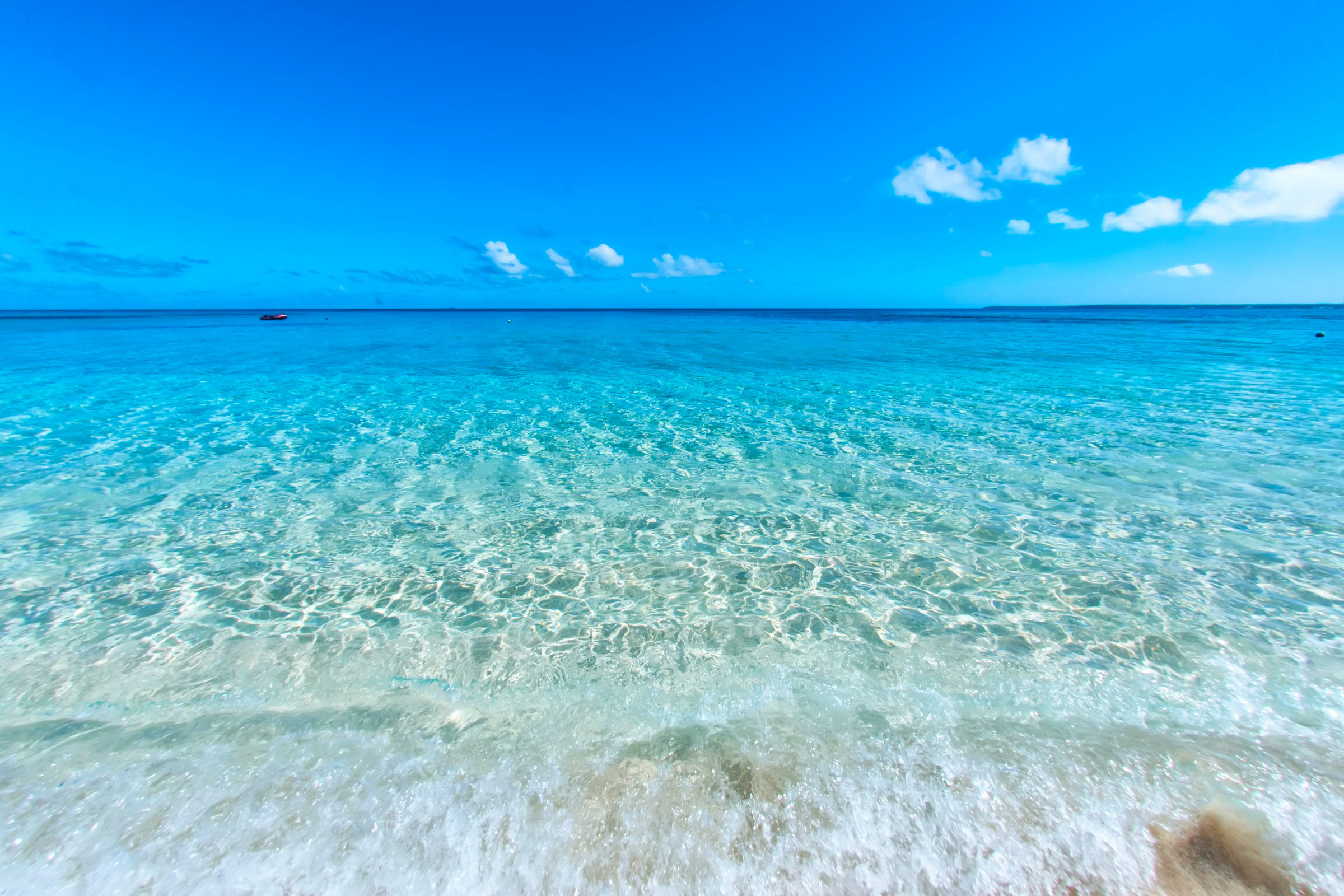 eueiki island (4).webp